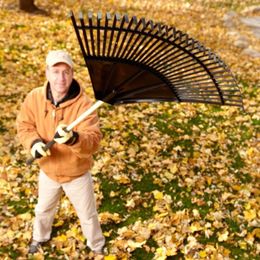 Raking Leaves? Protect Your Back