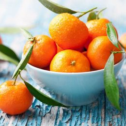 Vitamin C May Help Block Ulcers