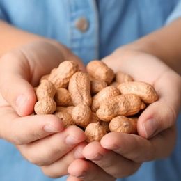 Cure Peanut Allergy With Peanuts?