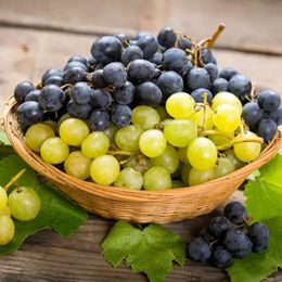 Grapes Protect Against Metabolic Syndrome