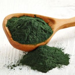 Spirulina Slows Aging and Prevents Chronic Disease