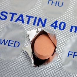 The Great Big Statin Sham