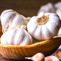 How Garlic Guards Against Heart Disease, Cancer and Infections