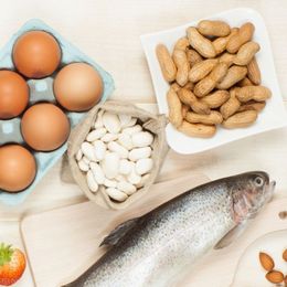Treat Food Allergies with Bacteria!