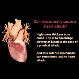 Sudden Cardiac Death May Start with Stress