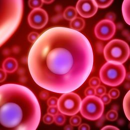 Stem Cells Could Cure Diabetes