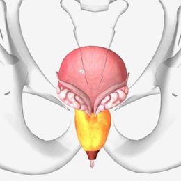 Amazing! Aspirin Shrinks Enlarged Prostate