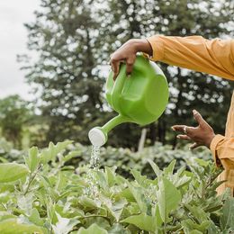 Don't Let Allergies Dig Into Gardening Fun