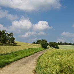 The "Country Cure" For Asthma