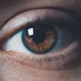 Age-Related Macular Degeneration on The Decline