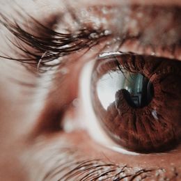 Researchers See Way To Use Stem Cells to Improve Vision
