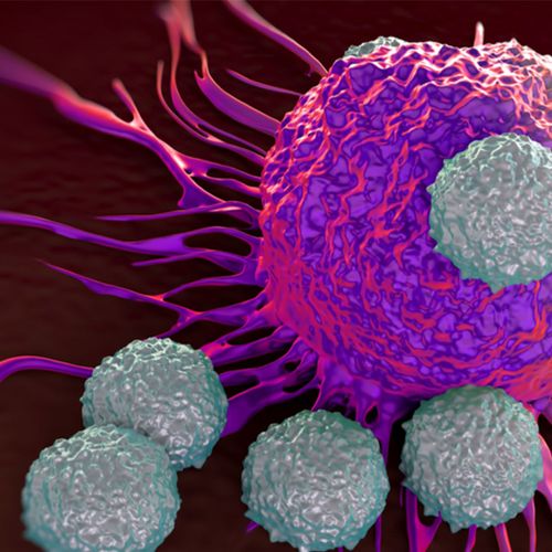 Scientists Study Viruses As Cancer Weapon