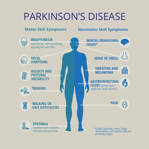Finally—Great Promise For Parkinson's Drugs