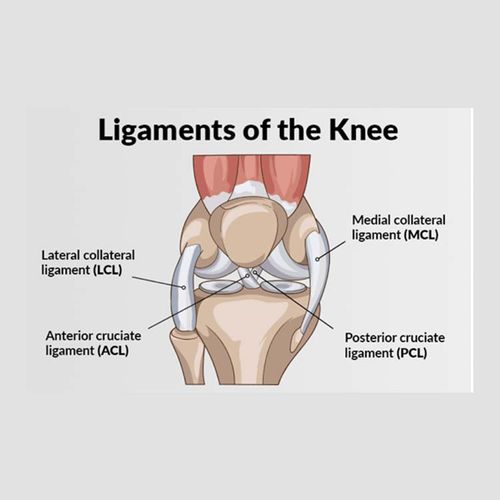 Ligament Tears Raise Knee Arthritis Risk