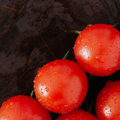 'Super Tomato' Could Slice Birth Defects
