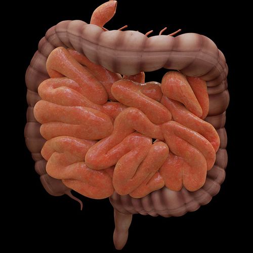 Antidepressants Boost GI Bleeding Risk