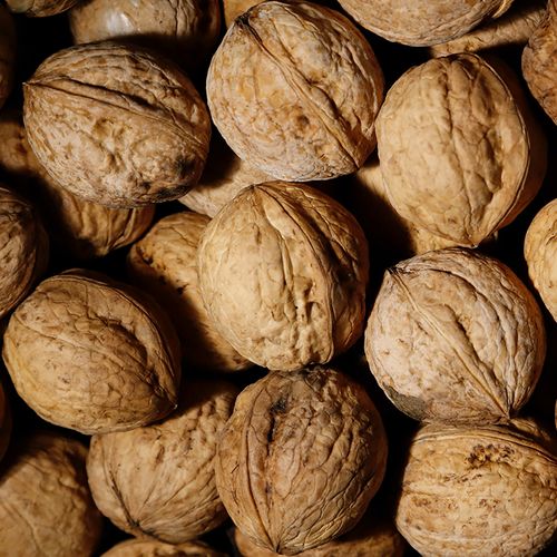 Eat Up! Walnuts May Reduce Breast Cancer